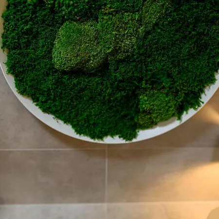 Pulower Z Klimatyzacja - Dream * Szczyrk